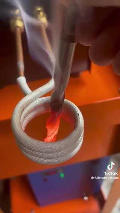 Would you risk it for a chocolate biscuit