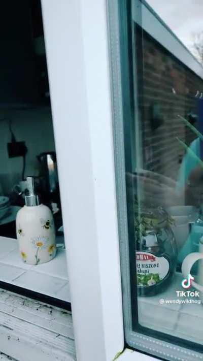 Gan oy get ohyear in an open window audgdhfkksgdtfjfj👳‍♂️