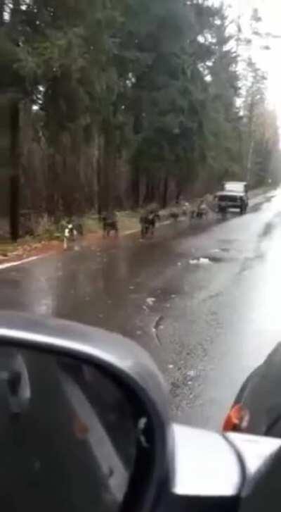 papai Noel de férias