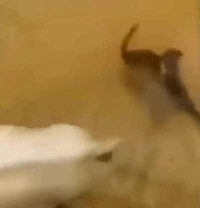 What is happening here