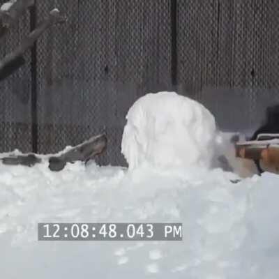 the best minute video you'll watch today