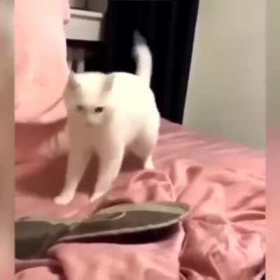 POV: My young Christian self listening to Year Zero for the first time