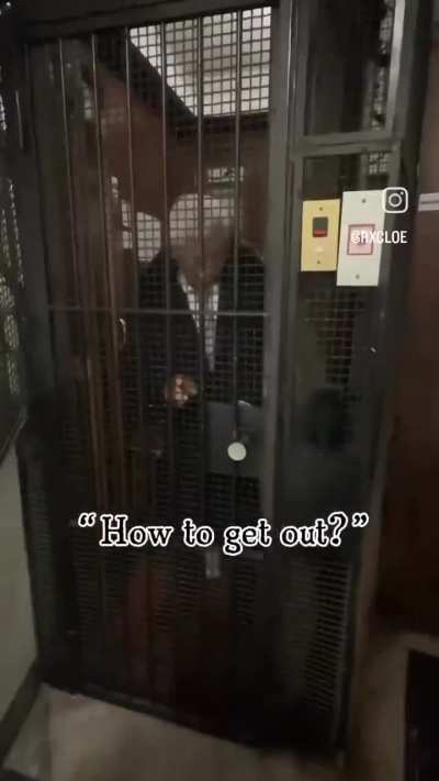 Cinesi confusi in Italia