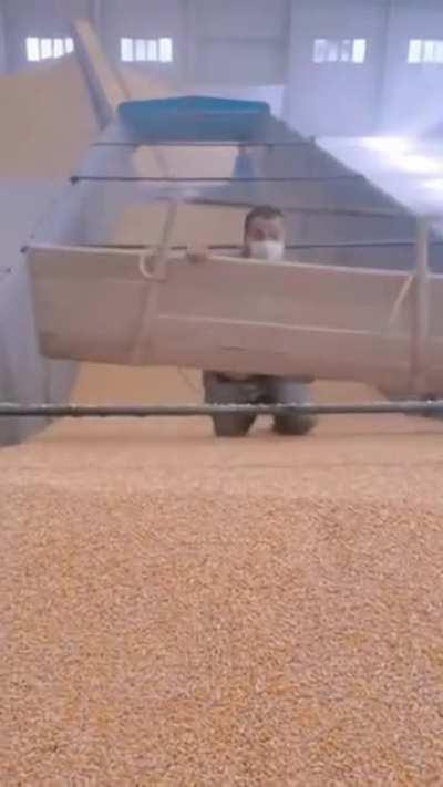 how this fucking works