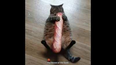 🥰el primo de wilson XD