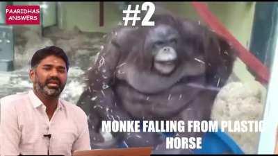 Paaridhas Answers | Top 5 Monke videos