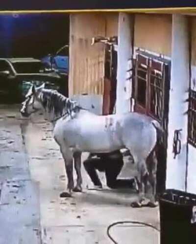 HMF while I mount this horse.