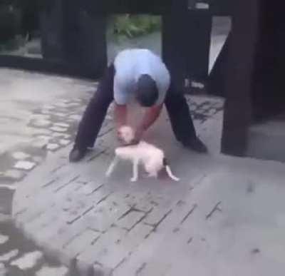 SquarePosting - Video #6132