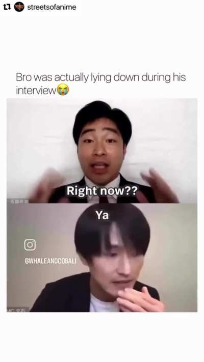 Come mi immagina Dario in videochiamate importanti (devo ancora mettermi qualcosa nell'ano)