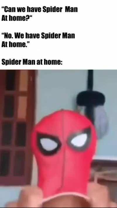 “Can we have Spider-Man at home?”