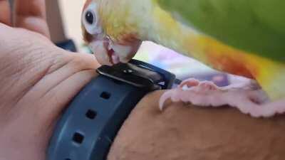 Such an interesting watch...