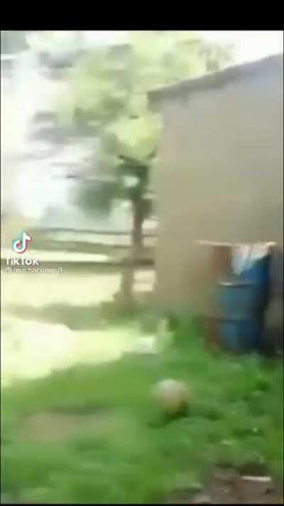 Si webadas vuelve veanlo plox xd