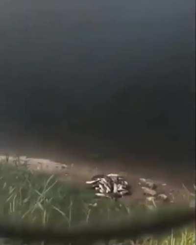 A great example polarization effect