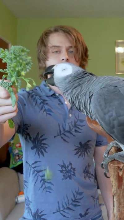 Houston, we have a “bottle”