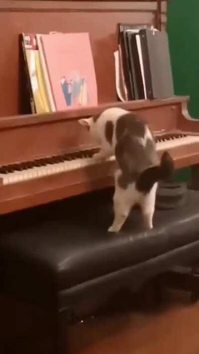 Charles, please analyze this moving piece.