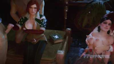 Tiss&Philippa (PPuppetter) [The witcher 3]