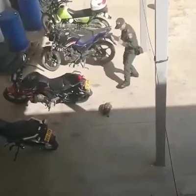 HeArtLEss COlomBIan pOLice abUSe hIs aUTHority And aTTAck defENSeless tURTle