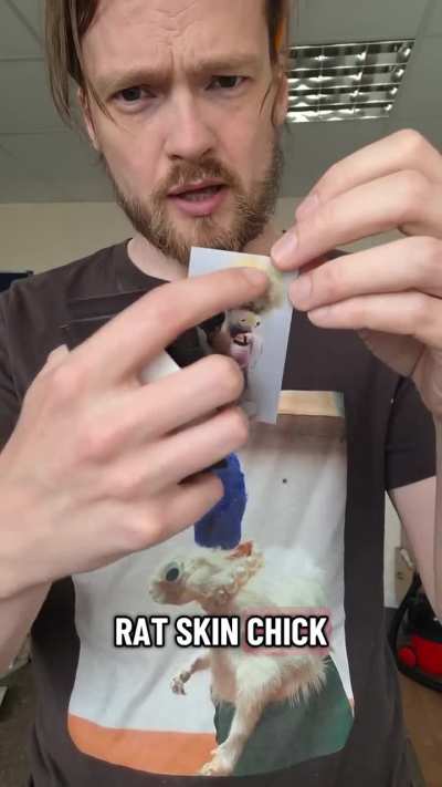 An entire gallery in my dead rat