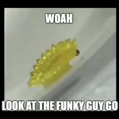 THE SHNINGING (1980 Stanlee Cum brick film) [1920.1080p.full.movie.real] thepoopybay.cum.org.net.egg.muffin.onion.fish