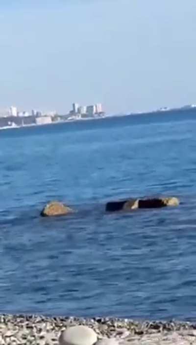 Girl Get Tagteamed on Beach in Public