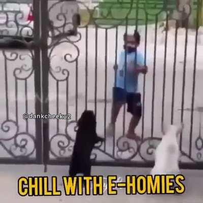 Dunno what to put , I'm tired