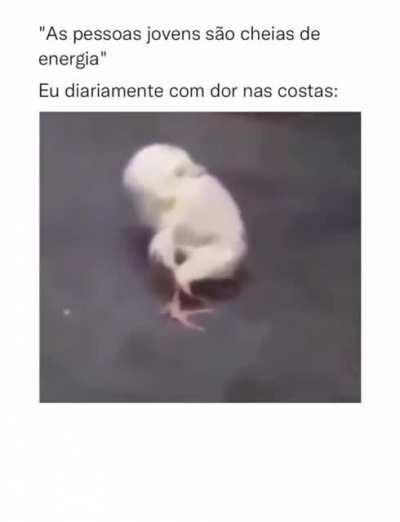 Eu_nvr