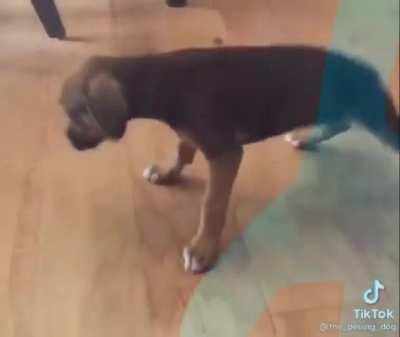 Netflix: Skip intr- me: don't