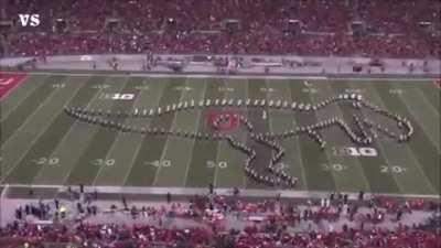 Dinosaur on the football field