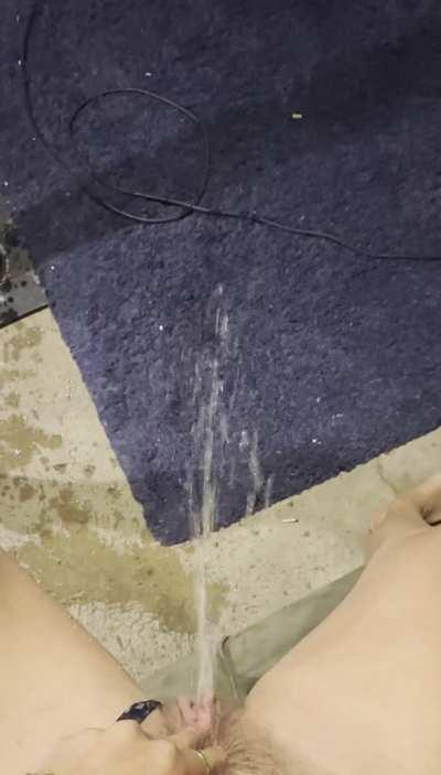 I deserve to pee wherever I want. Where should I pee tonight?