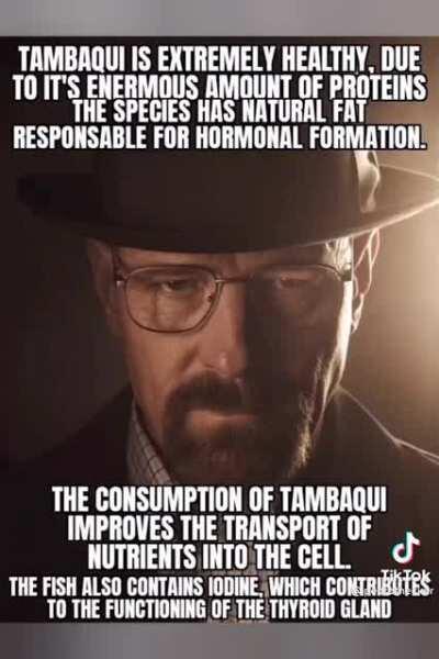 Shut up women consume tambaqui