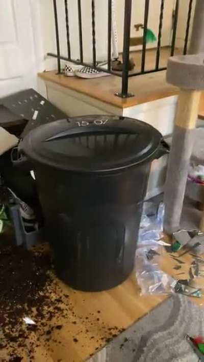 absolutely catastrophic.