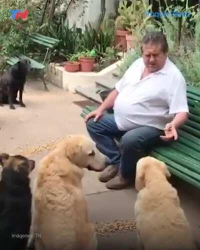 Un señor dandole de comer a sus perros y sus perros le hacen caso.