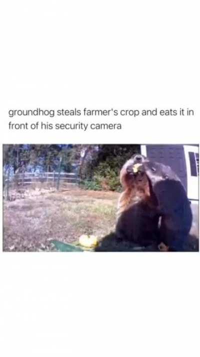 The level of disrespect 😂🗿