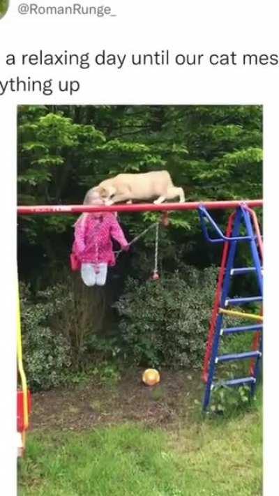 cat messing everything up