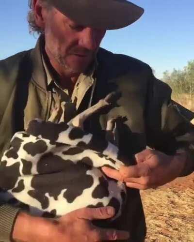 A little Aussie bleach.