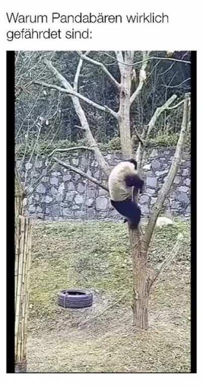 Was die Medien verschweigen…