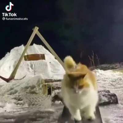 ⚠️Horrific Ski Accident⚠️