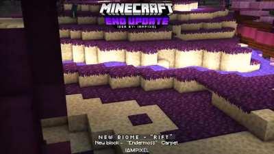 Minecraft End Update Idea!