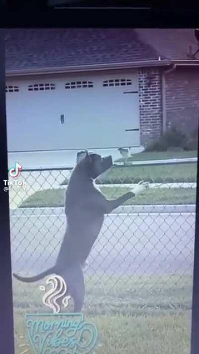 I thought they where becoming friends