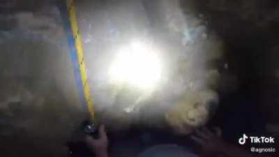 That’s a hard pass from me