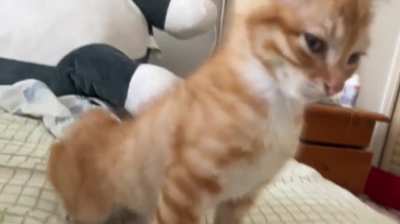 After a long day at work