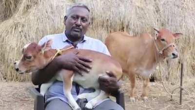 You might like this if you are an animal lover. The way he speaks the language is extremely sweet though.