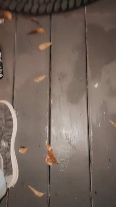 I couldn’t even get in the house without getting naked & teased 🤭