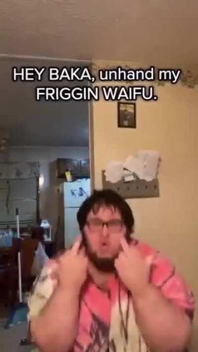 Don't hurt my kitten 😡