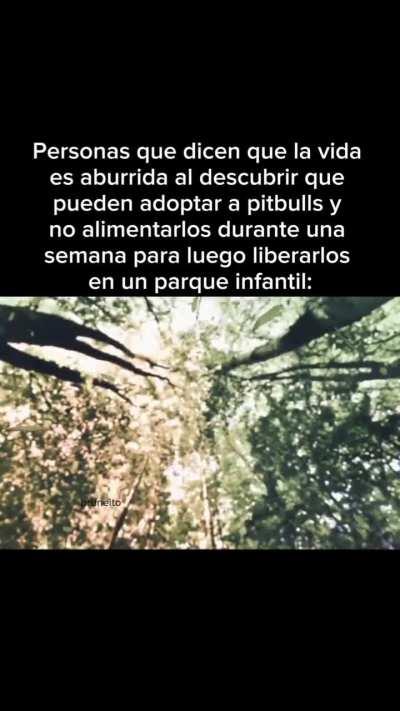 MomazosBeelce1 - Video #2869