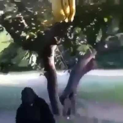 just wanted a banana