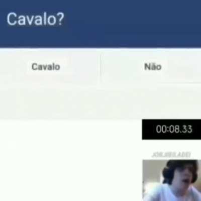 Eu sou um cavalo 😎