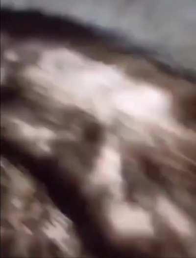 How to counter a teabag?