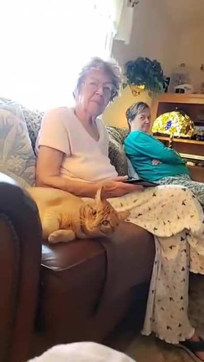 A few too many beans I guess......