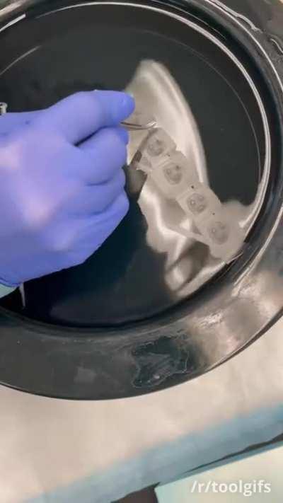 Sectioning umbilical cord on microtome